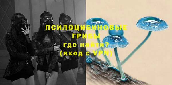 дурь Алзамай