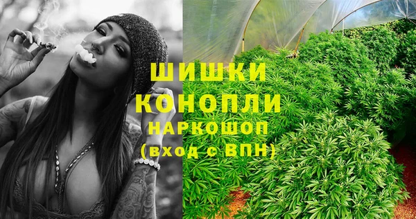 дурь Алзамай