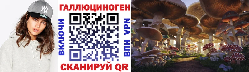 Галлюциногенные грибы мухоморы Краснознаменск